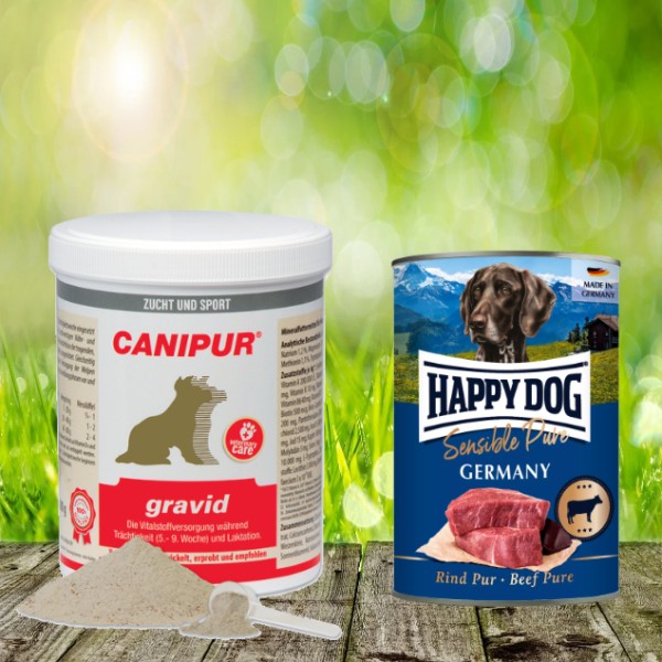 Canipur gravid 500 g + 400g Happy Dog Sensible Pure Germany (Rind) geschenkt