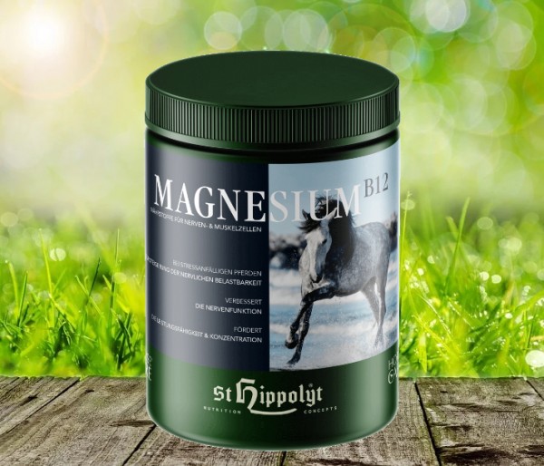 St. Hippolyt Magnesium B12 - 1 kg