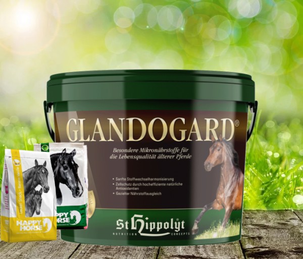 St. Hippolyt Glandogard 3,75 kg und 2 x 1 kg Lecker Snack geschenkt