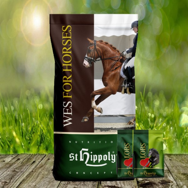 St. Hippolyt WES for Horses - All in One 15 kg + St. Hippolyt Lobs Belohnungswürfel 2 x 1 kg geschen